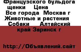 Французского бульдога щенки  › Цена ­ 35 000 - Все города, Москва г. Животные и растения » Собаки   . Алтайский край,Заринск г.